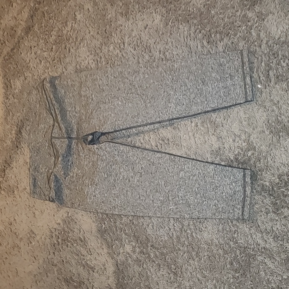 Vs workout pants